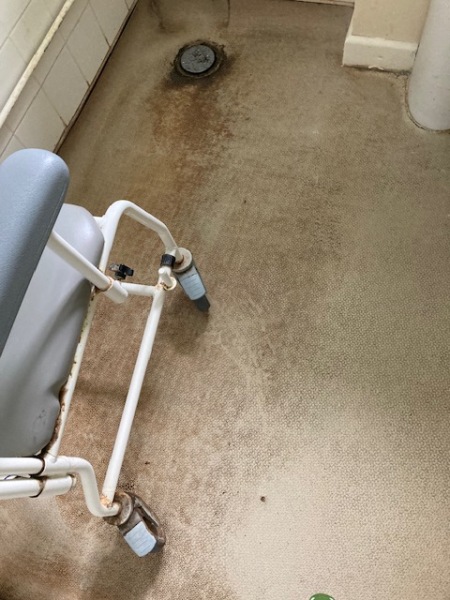 Deep clean - cost and how to find a good one?