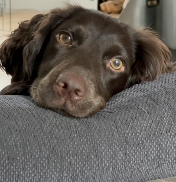 Pamela thread 5 - Bile Duct Cancer, chemo begins