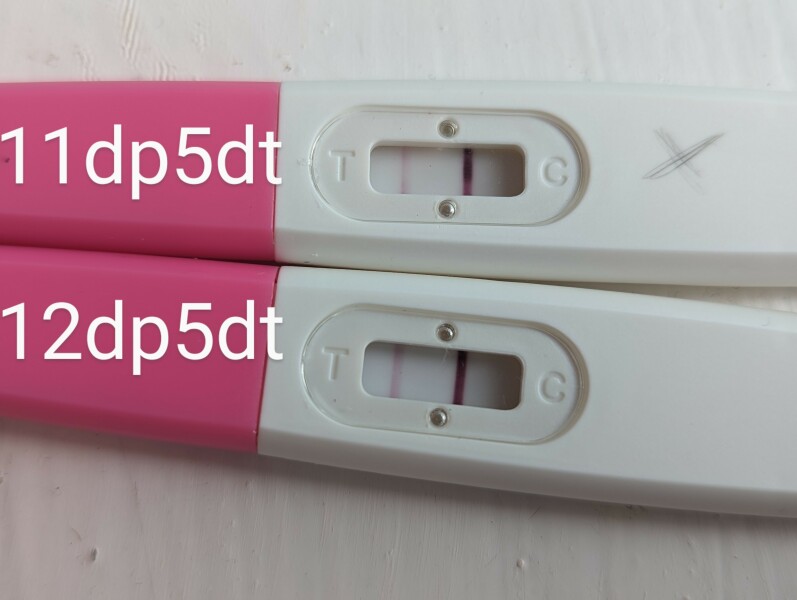 11dp5dt faint line and ClearBlue 1-2 
