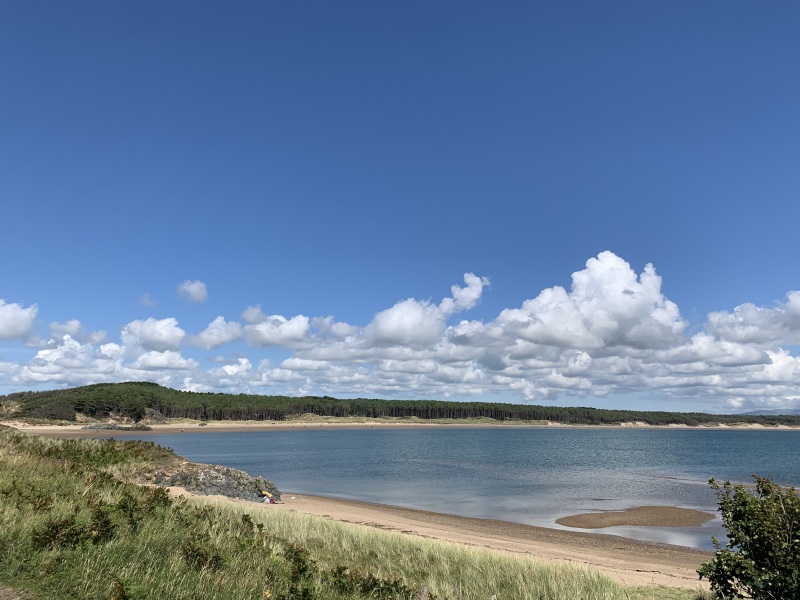 Pamela thread 5 - Bile Duct Cancer, chemo begins