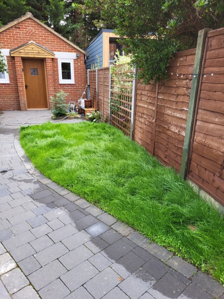 Artificial grass - help!