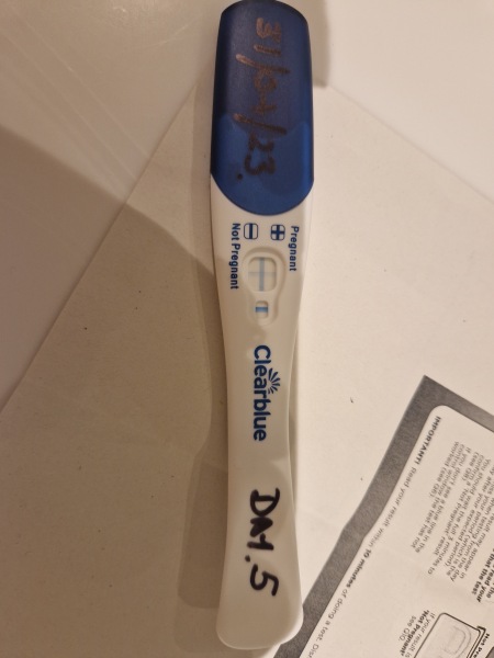 Post ivf transfer 