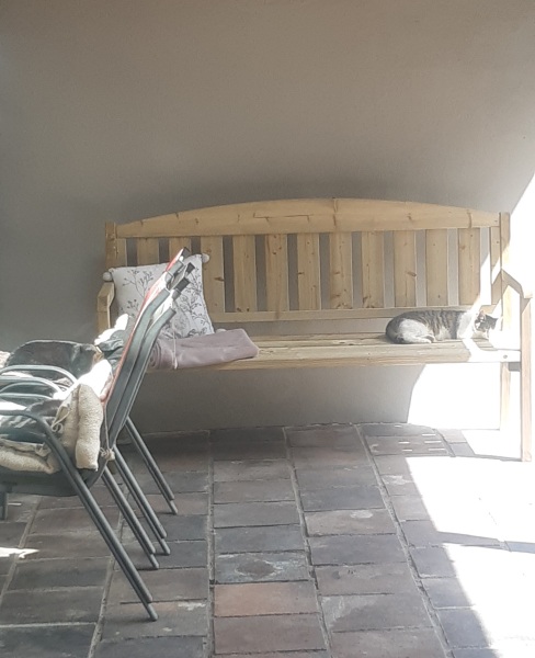 A Very Great Quantity Of Excellent Cats