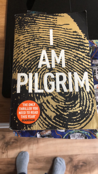 Recommendation for a superb horror/thriller...