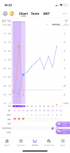 Potential implantation dip? Please read