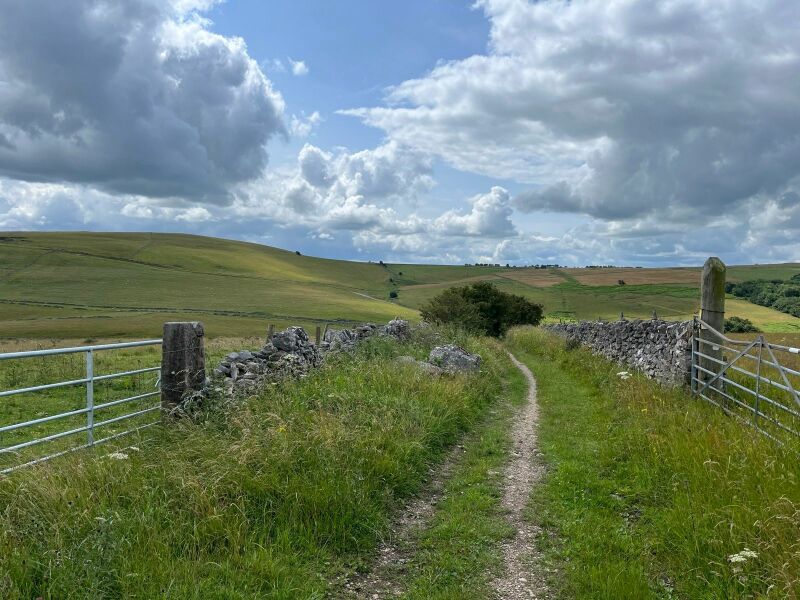 Pamela thread 3 - Bile Duct Cancer, off to London! 