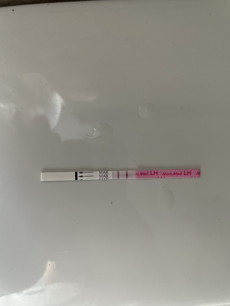 Confused by ovulation testing. Please help