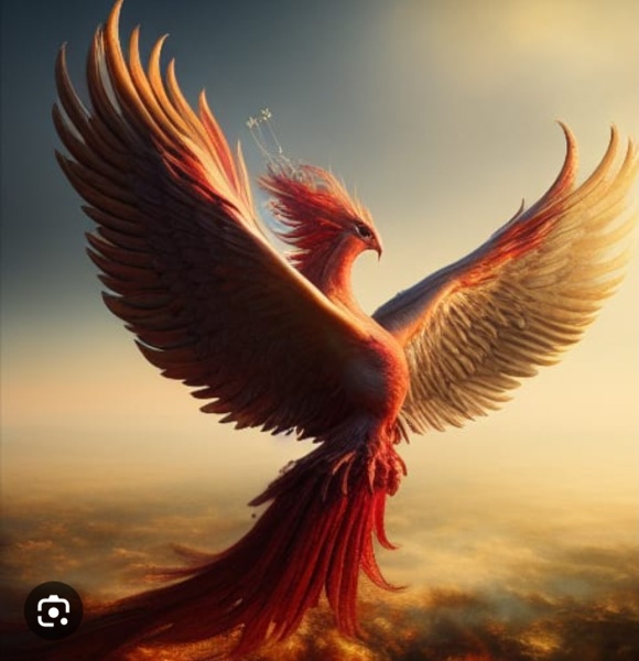 Pamela thread 5 - Bile Duct Cancer, chemo begins