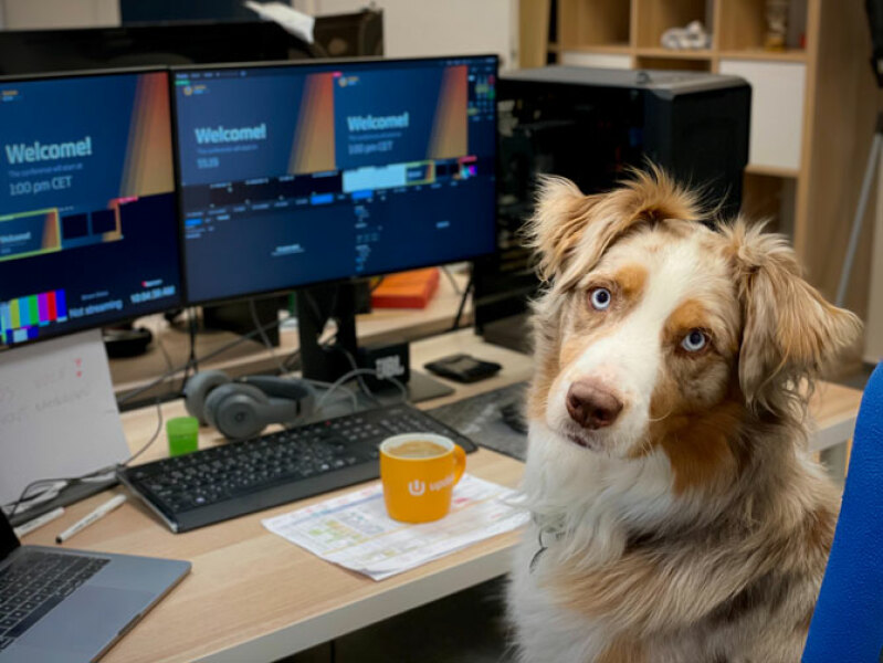 God I am bored of dogs 