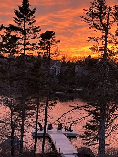 Pamela thread 3 - Bile Duct Cancer, off to London! 