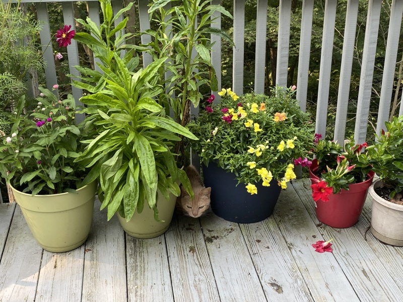 Come and tell me your dull and unexciting news 25: Calmly through the day 