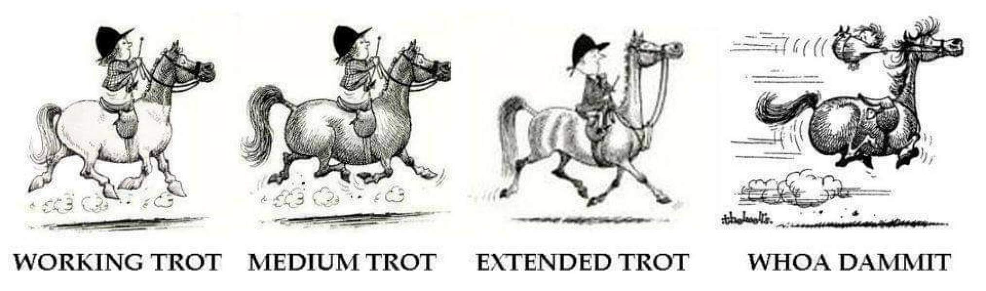 50 Books Challenge 2023 Part Six