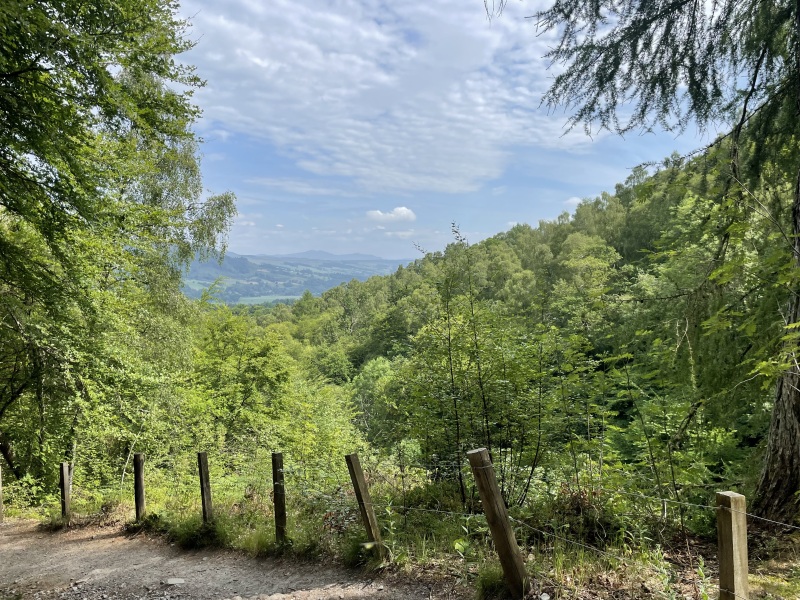 Pamela thread 6 - Bile Duct Cancer, Continued