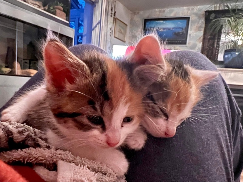 Names please