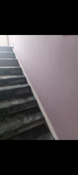 Do my walls and carpet clash?