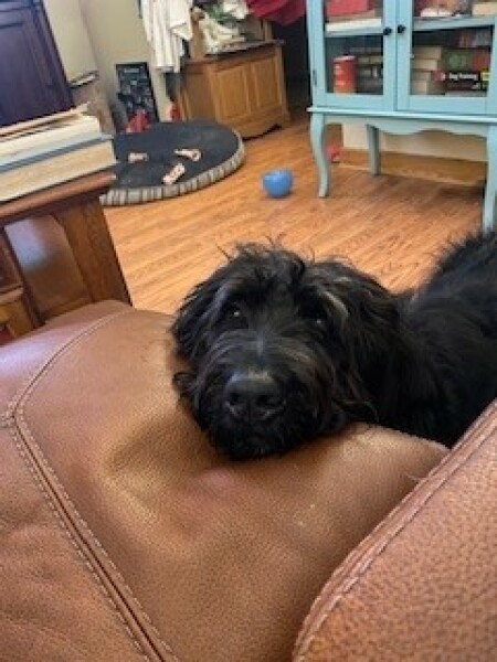 Pamela thread 5 - Bile Duct Cancer, chemo begins