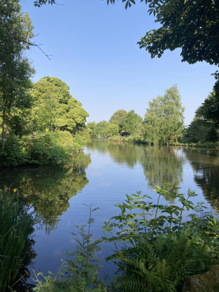 Pamela thread 5 - Bile Duct Cancer, chemo begins