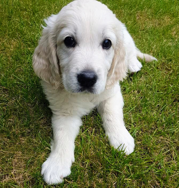 Pamela thread 3 - Bile Duct Cancer, off to London! 