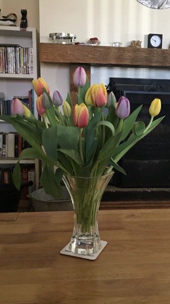 Pamela thread 6 - Bile Duct Cancer, Continued