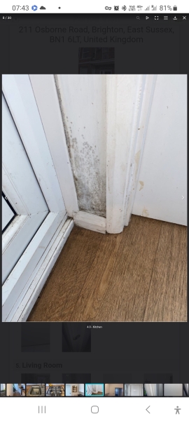 Is this Mould?