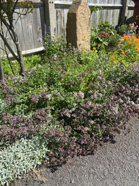 How to make mint bugger off