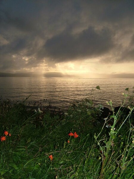 Pamela - Bile Duct Cancer, thread 4, London has given me a chance! 