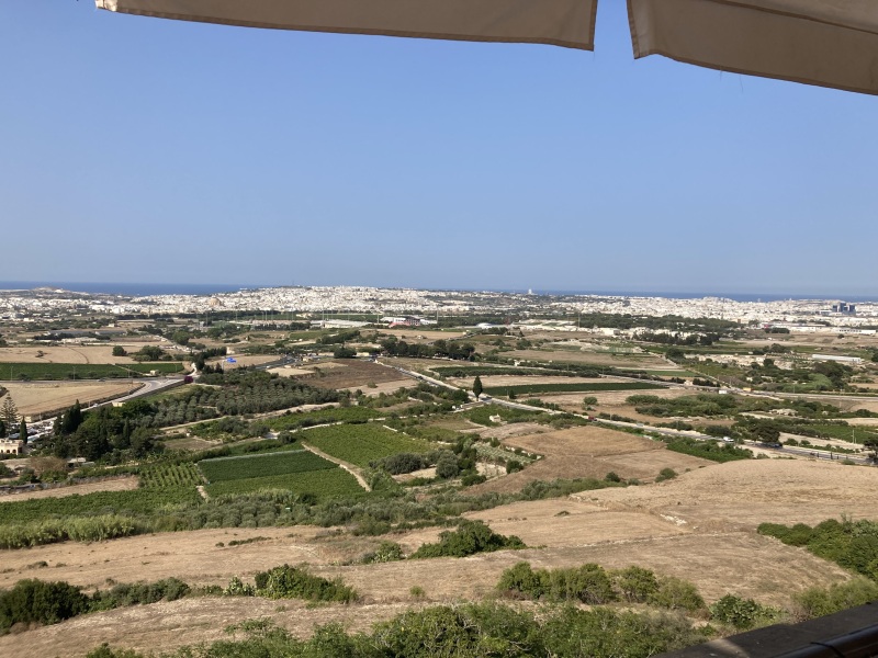 The Saxenda Sisterhood 