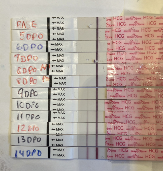 TTC May 2023 💖✨ previous MC March 2023