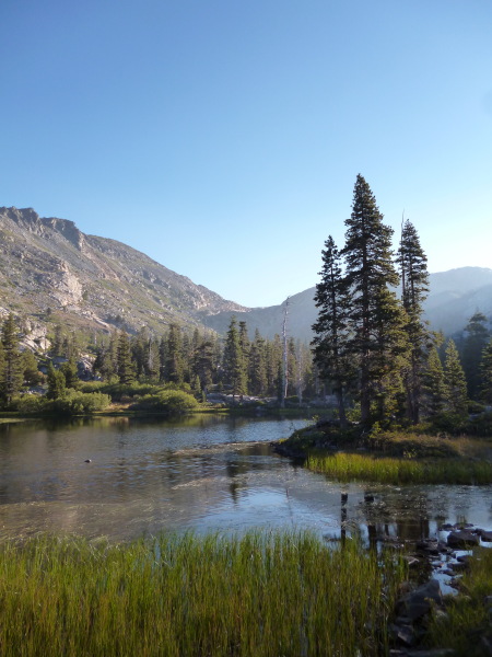 Pamela thread 3 - Bile Duct Cancer, off to London! 