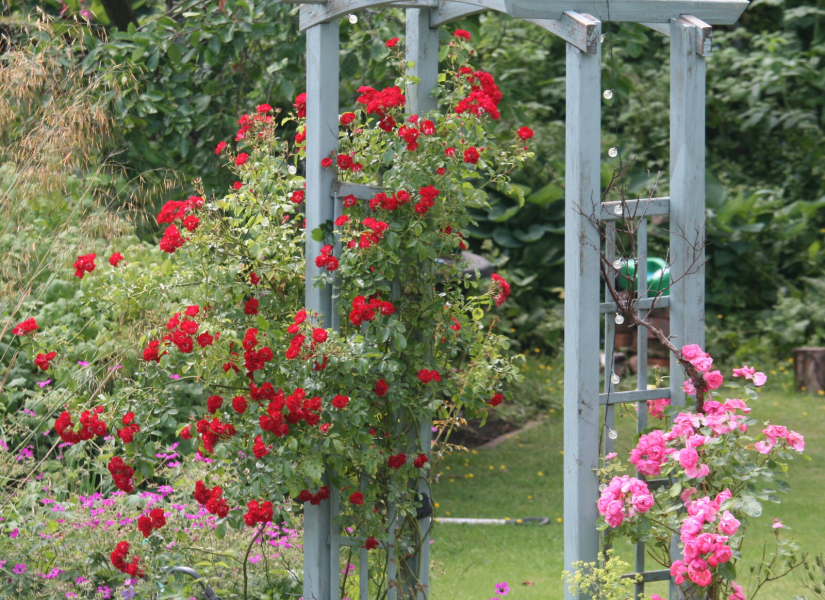 Summer 23 Boot Camp, Week 3: (maybe) you can relax (a bit)