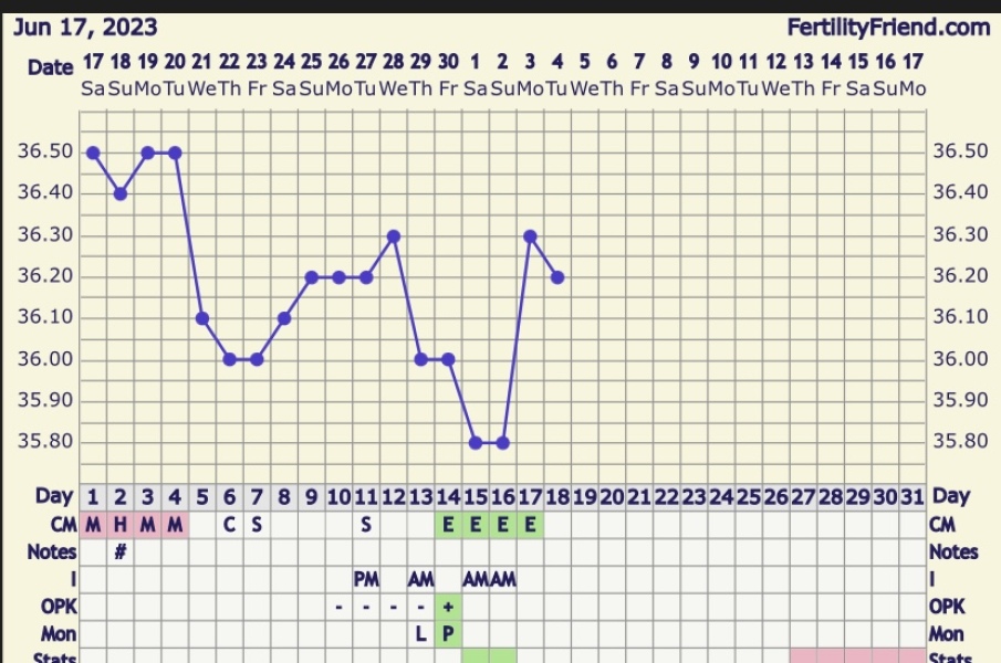 BBT Graph