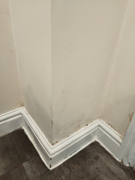 Damp on wall- what to do next?