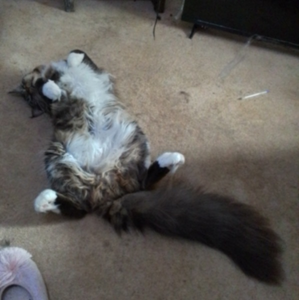 Come and tell me your dull and unexciting news 25: Calmly through the day 