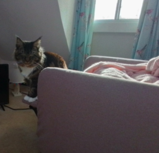 Pamela thread 3 - Bile Duct Cancer, off to London! 