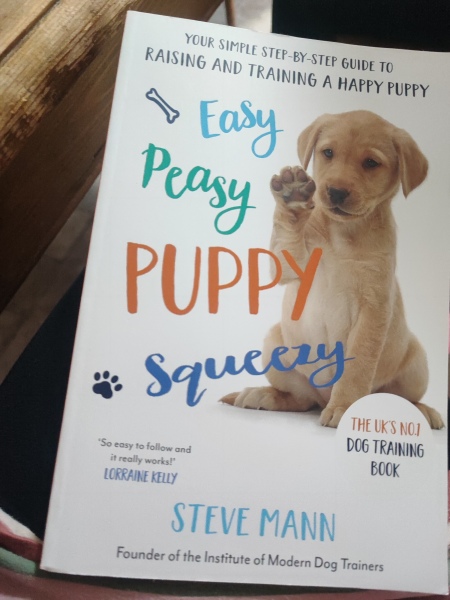 Considering a Labrador pup - new dog owners. What do I need to know?