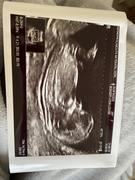 Due January Part 4! 🎉
