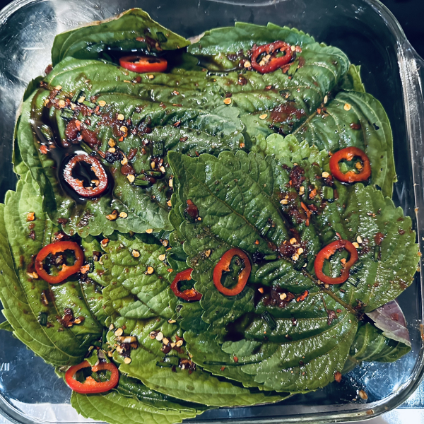 MsLatté’s Daebak Cybercafé (Kdrama addicts #42): Where we weigh up two smokin’ hawt chaebol hotelliers, one tortured by loss and the other crippled by abandonment issues