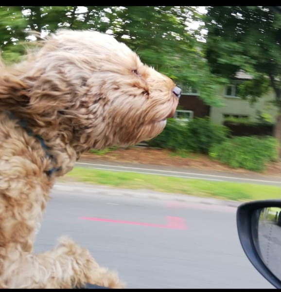 Pamela - Bile Duct Cancer, thread 4, London has given me a chance! 