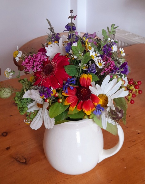 Pamela thread 5 - Bile Duct Cancer, chemo begins