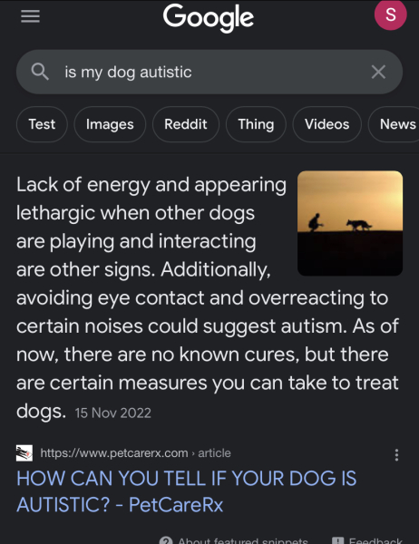 My dog has mental health problems 
