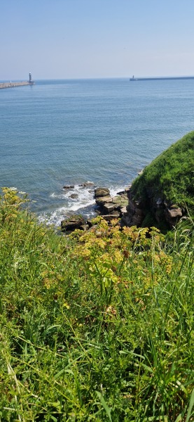 Pamela thread 5 - Bile Duct Cancer, chemo begins