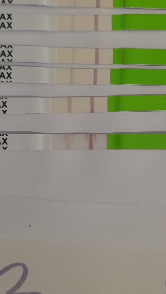 Help BFP to AF to BFP to BFN to positive opk and BFP 