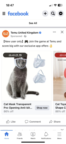 Today Temu thinks I would like to buy...