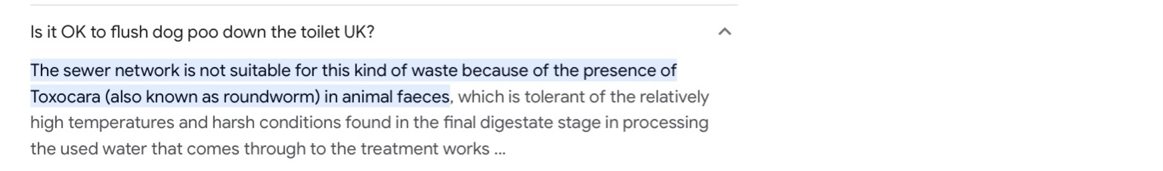 Flushing dog or cat poo down the loo