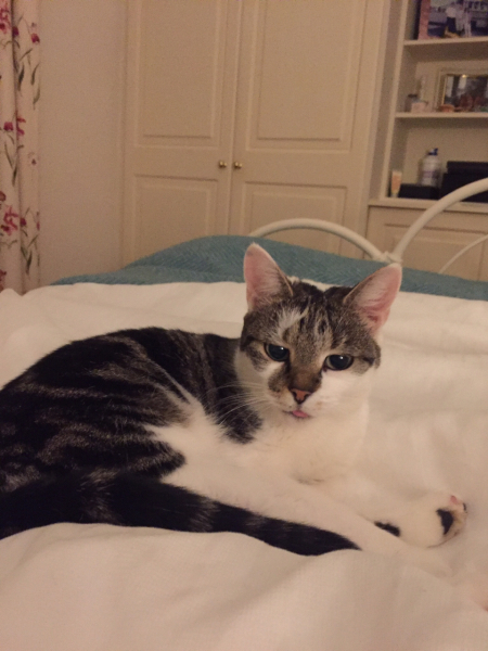 Pamela thread 3 - Bile Duct Cancer, off to London! 