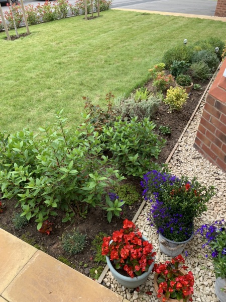 What sort of vibe my front garden has?