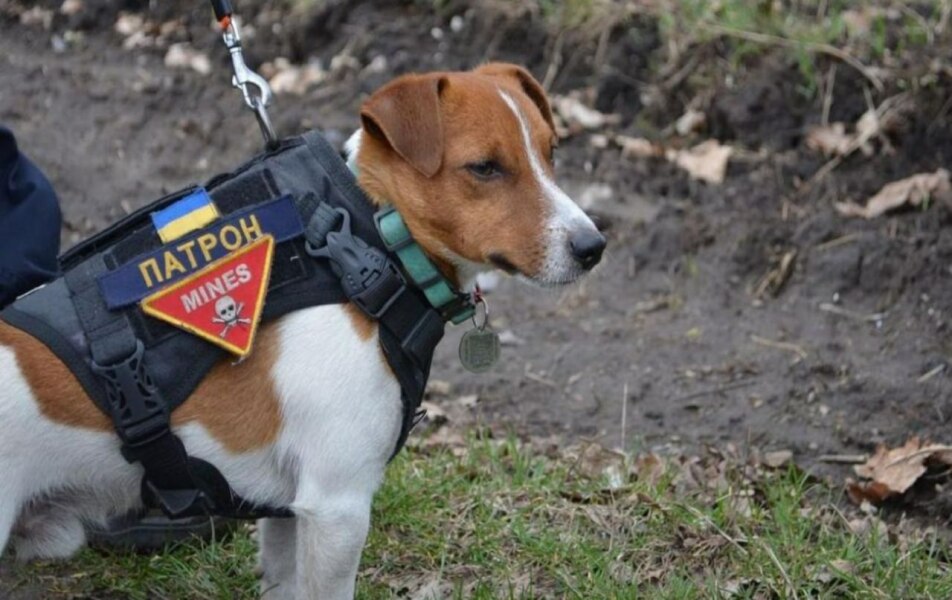 Ukraine Invasion: Part 43