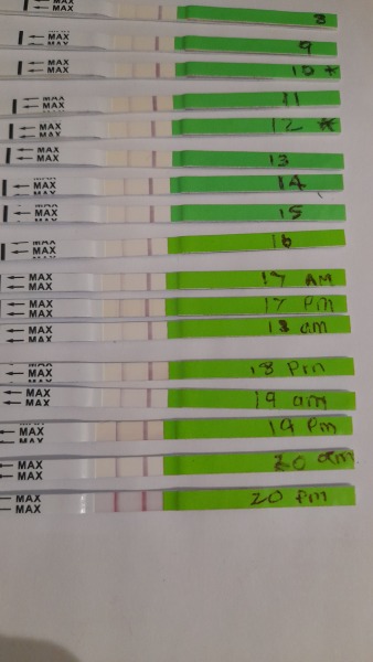 Help BFP to AF to BFP to BFN to positive opk and BFP 