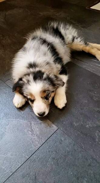 Pamela thread 5 - Bile Duct Cancer, chemo begins