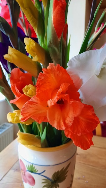 Pamela thread 6 - Bile Duct Cancer, Continued